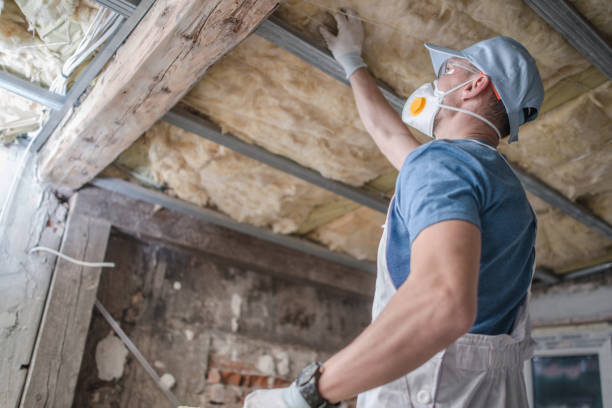 Attic Insulation Near Me in Saluda, SC