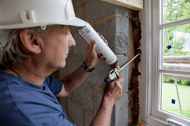 Best Spray Foam Insulation  in Saluda, SC